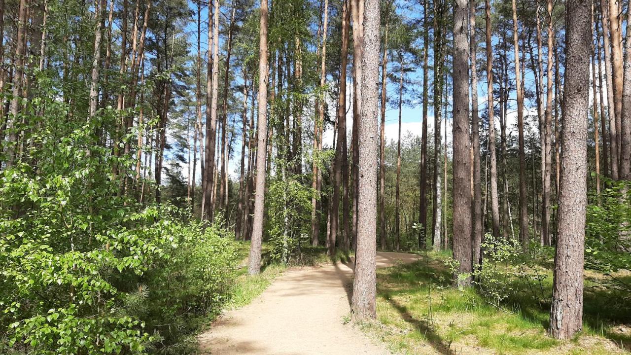 Forest Rooms Bad Bevensen Exteriör bild